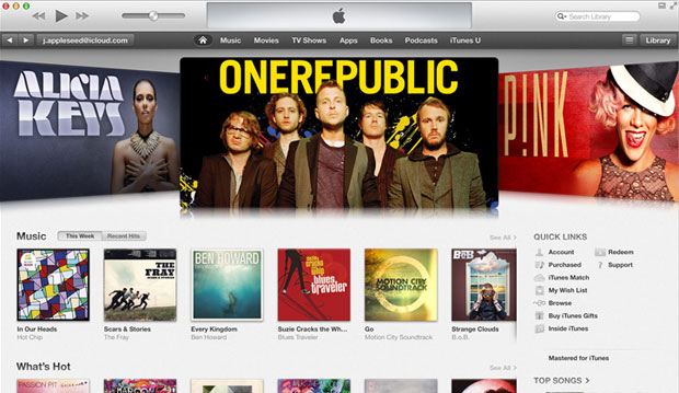The iTunes Store