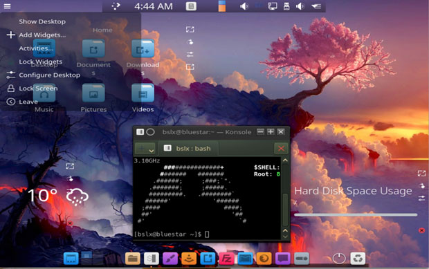 Bluestar Linux Konsole