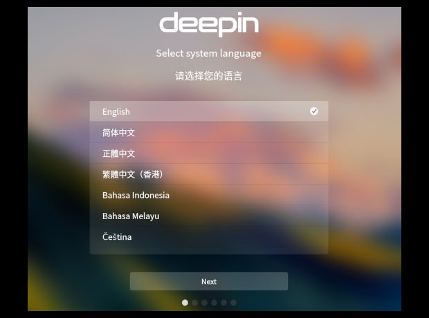 Deepin installer screen