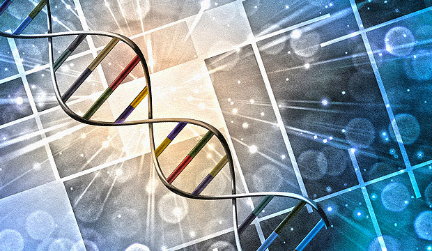 the process of dna printing transforms genetic code into computer code
