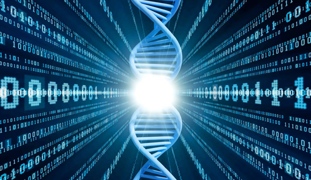 the process of dna printing transforms genetic code into computer code