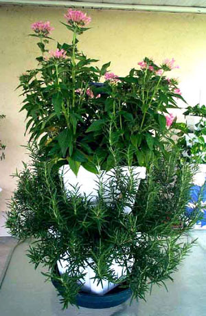 Verti-Gro PG-1 vertical garden
