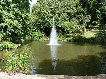 University of Exeter campus pond
