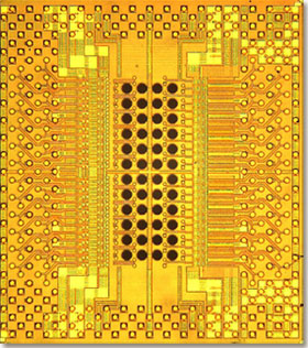 IBM Holey Optochip