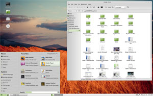 Linux Mint 13 Mate