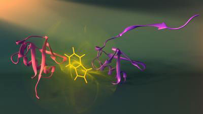 protein assembly