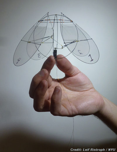 jellyfish robot