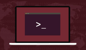 Linux terminal