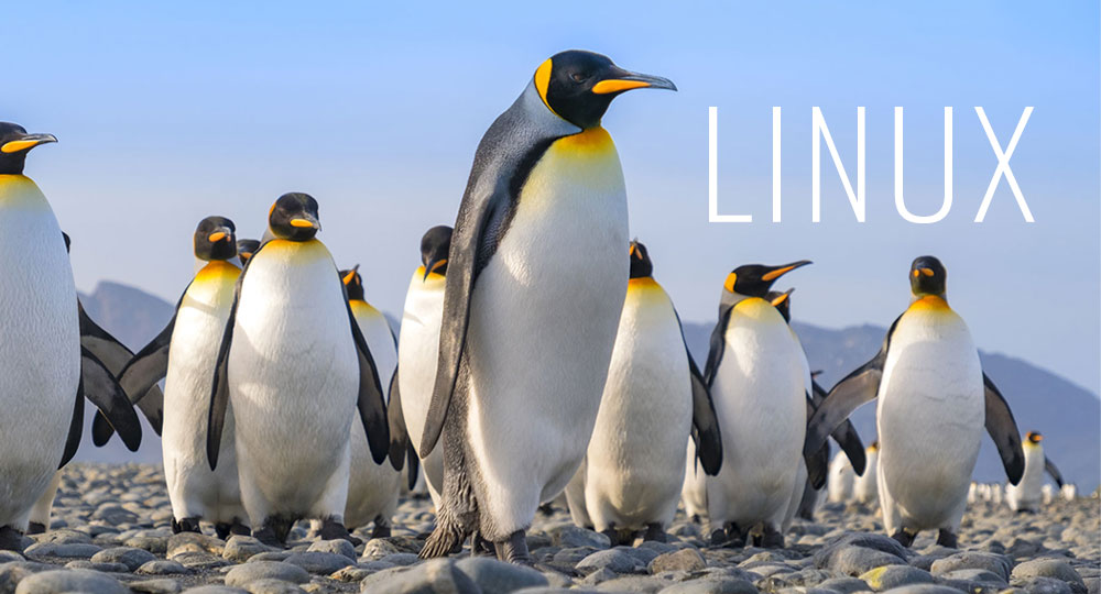What Does the Penguin Say? The Linux Conversation Continues