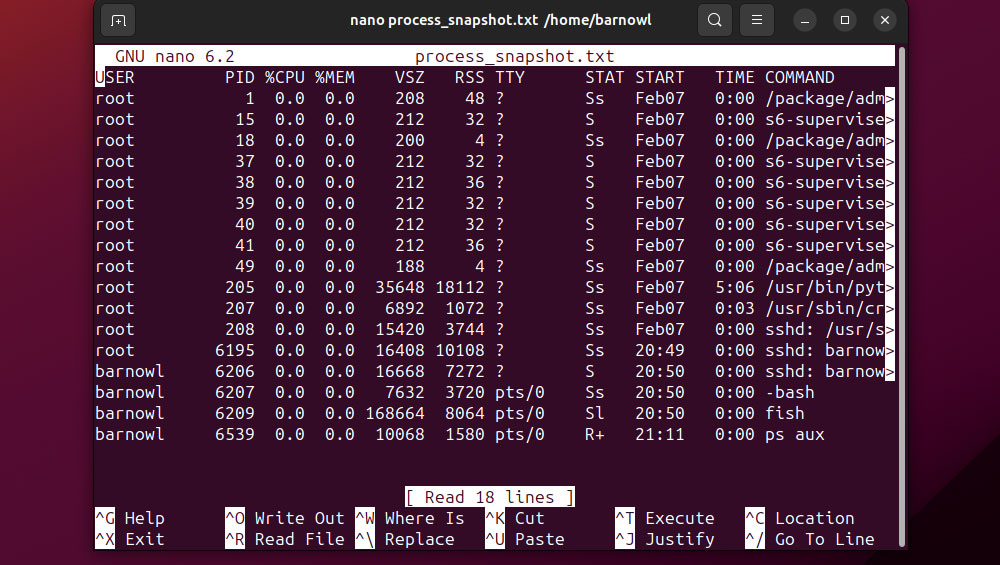 snapshot of all active processes