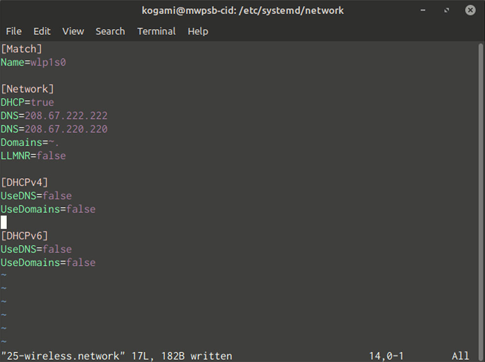 Systemd Network File Screenshot