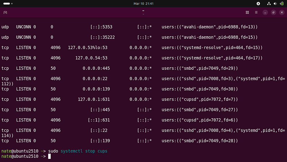 Terminal output showing active listening services on Linux system